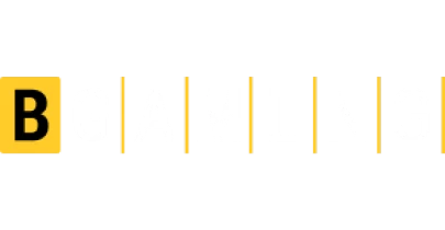 partners who work with Ludo King