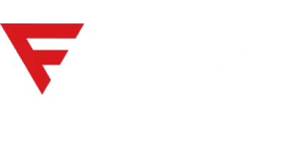 partners who work with Ludo King