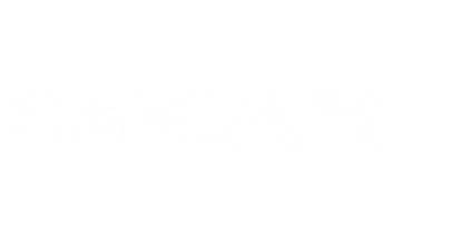 partners who work with Ludo King